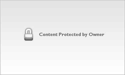 Jen & Wilson